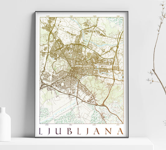 a map of the city of lubiana