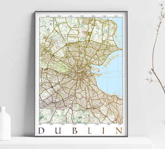 a framed map of dublin on a shelf