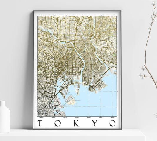 a map of tokyo is displayed on a shelf