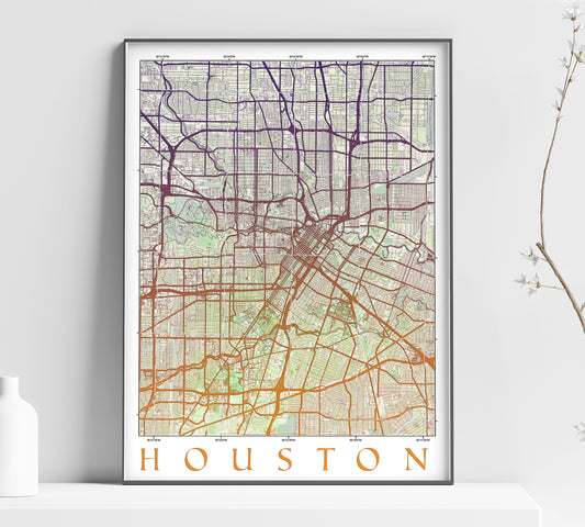 a framed map of houston, texas on a shelf