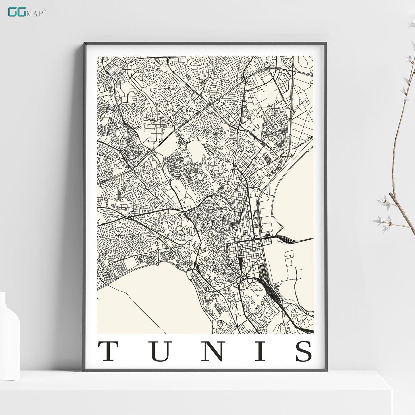 a map of the city of tunis in black and white