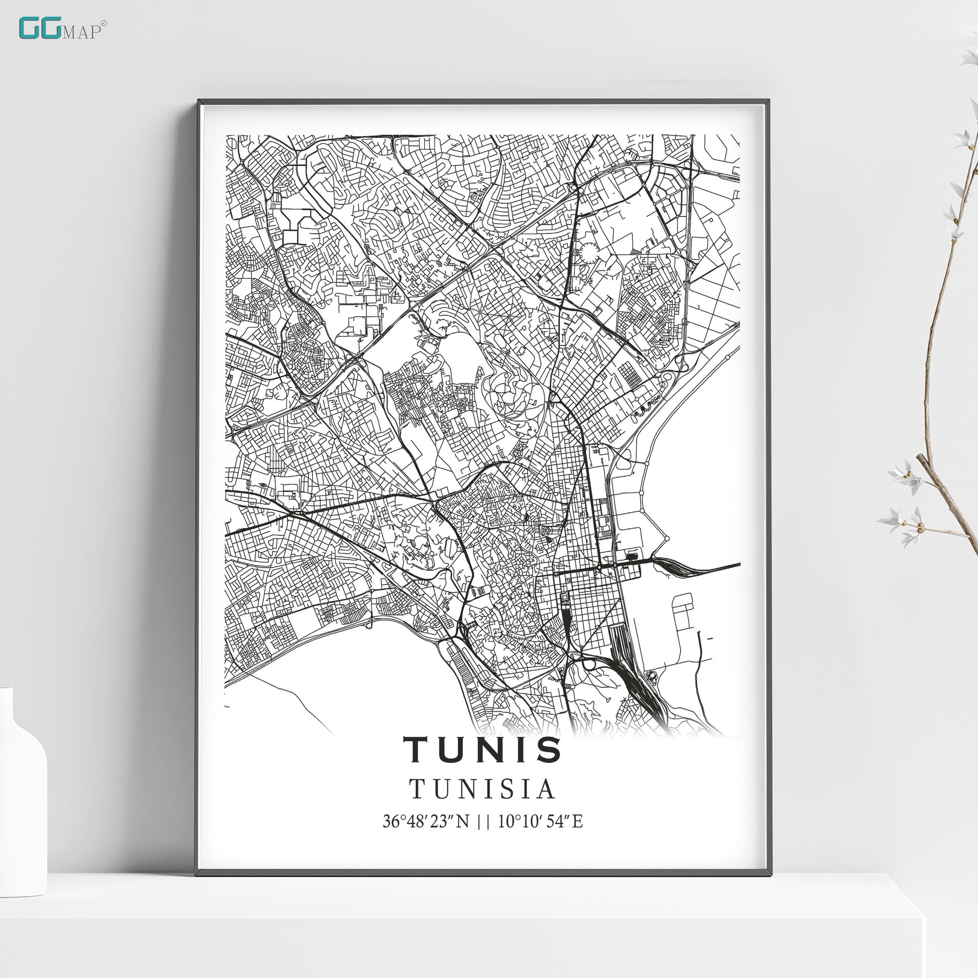 a black and white map of tunis