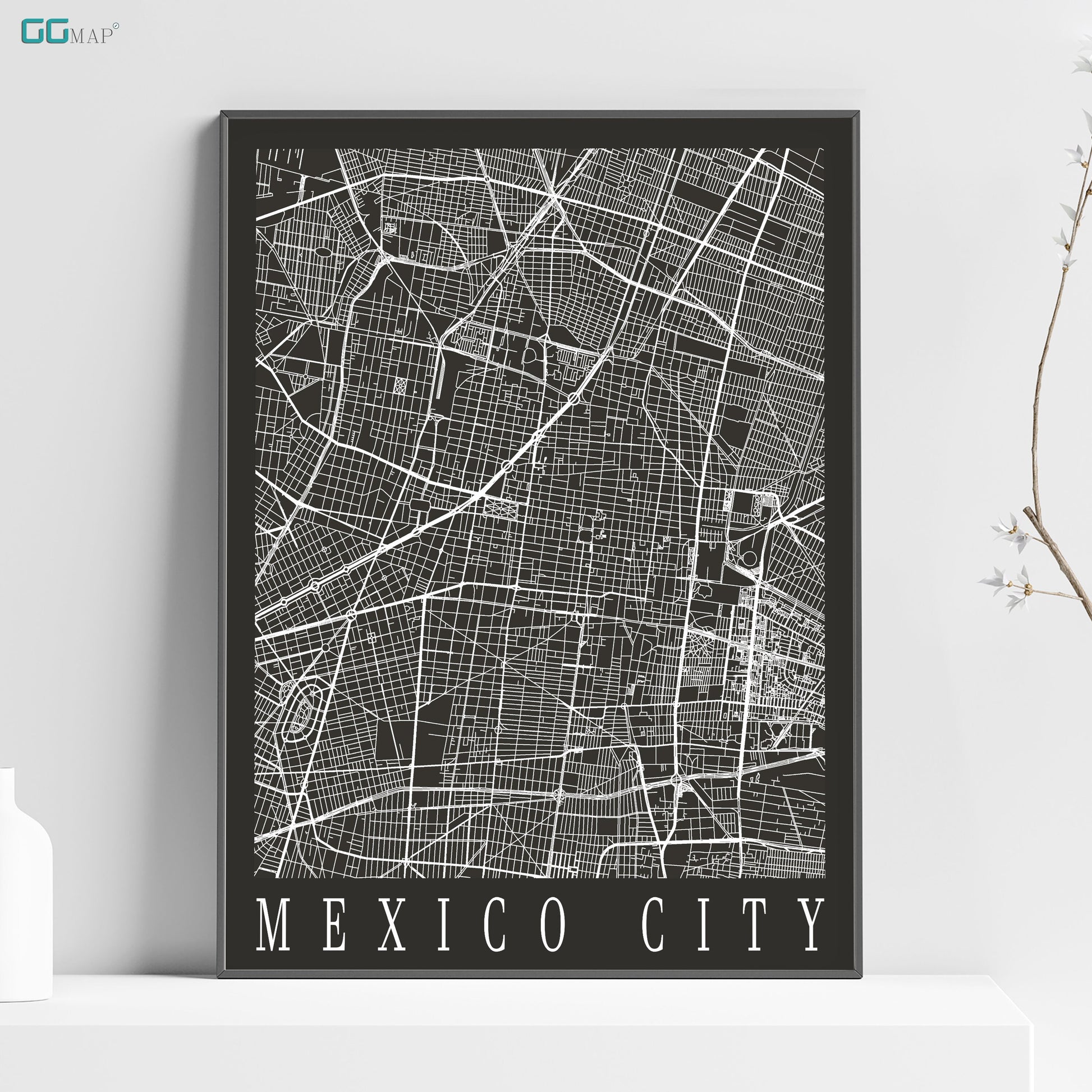 a black and white map of the city of mexico